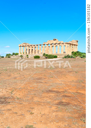 Selinunte site with ancient greek ruins, Sicily Selinunte site with ancient greek ruins, Sicily 136103182