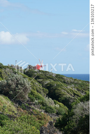 Red windmill stands on a green hillside of Pico Island with dense vegetation and the Atlantic Ocean visible under a clear blue sky Red windmill stands on a green hillside of Pico Island with dense vegetation and the Atlantic Ocean visible under a clear blue sky 136103217