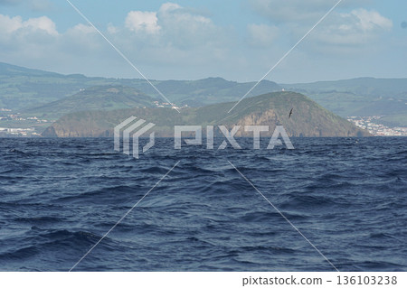 Atlantic Ocean view near Faial Island in the Azores, with deep blue water, rolling waves, and green volcanic coastline under a bright sky 136103238
