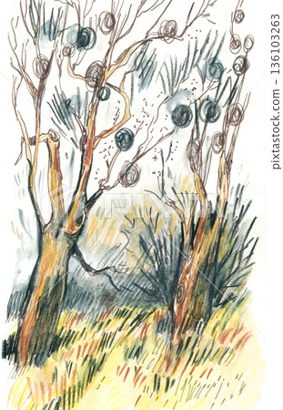 Illustration of Trees in a Field 136103263