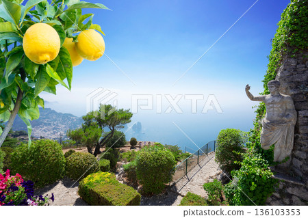 Capri island, Italy 136103353