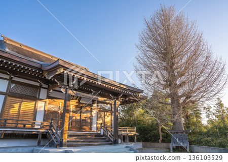 Akagisan Chomyoji Temple main hall and winter trees bathed in morning light Akagisan Chomyoji Temple main hall and winter trees bathed in morning light 136103529
