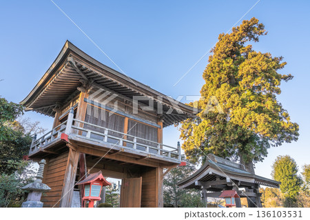 Akagisan Chomyoji Temple Gate and large cedar tree Morning view of the temple grounds 136103531