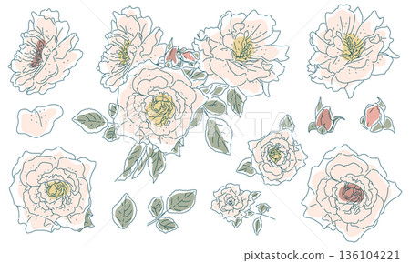 粗糙的玫瑰花素描素材套裝 粗糙的玫瑰花素描素材套裝 136104221