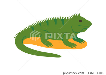 Green iguana on sand. Vector reptile illustration for tropical and wildlife concepts Green iguana on sand. Vector reptile illustration for tropical and wildlife concepts 136104406