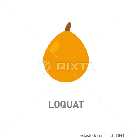 Loquat tropical fruit. Small orange fruit icon isolated on white background for food and garden visuals 136104431