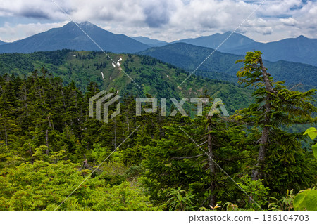 Mt. Hiuchigatake and Mt. Shibutsu seen from the hiking trail to Otsugi Pass Mt. Hiuchigatake and Mt. Shibutsu seen from the hiking trail to Otsugi Pass 136104703