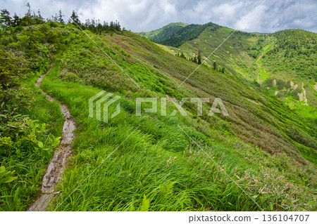 從通往大津峠的健行路線回望會津駒岳和駒屋。 從通往大津峠的健行路線回望會津駒岳和駒屋。 136104707