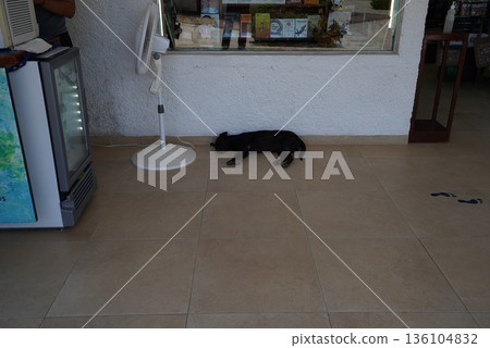 Uxman, Mexico 136104832