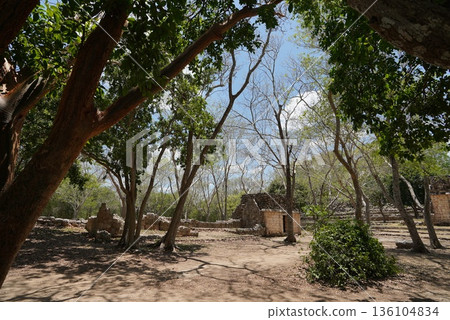 墨西哥烏克斯曼 136104834