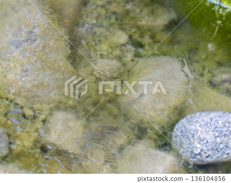 Puddle of frozen riverbed Puddle of frozen riverbed 136104856