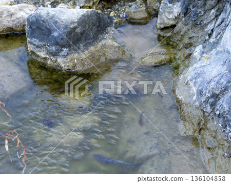 Puddle of frozen riverbed 136104858