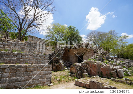 Uxman ruins, Mexico Uxman ruins, Mexico 136104971