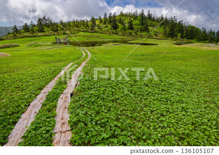 Aizu Komagatake Ridge Line / Nakamon Pond Scenery in Summer 136105107