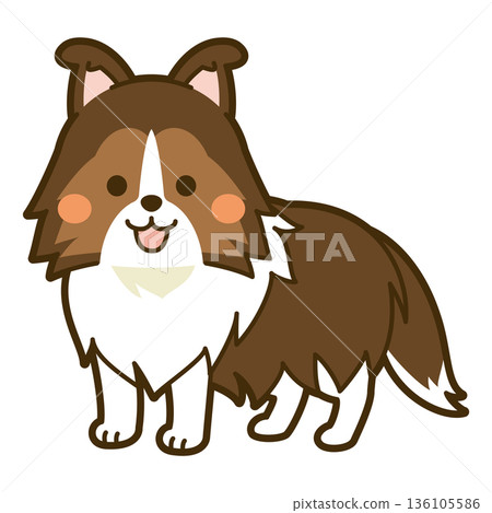 Shetland Sheepdog illustration Shetland Sheepdog illustration 136105586