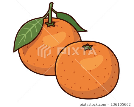 Mandarin orange illustration with leaves Mandarin orange illustration with leaves 136105662