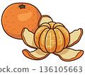 Peeling mandarin orange illustration 136105663