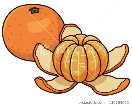 Peeling mandarin orange illustration 136105663