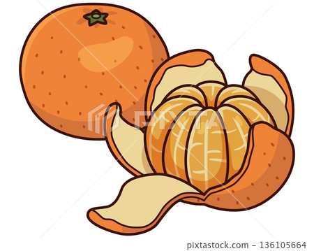 Peeling mandarin orange illustration 136105664