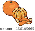 Peeling mandarin orange illustration 136105665