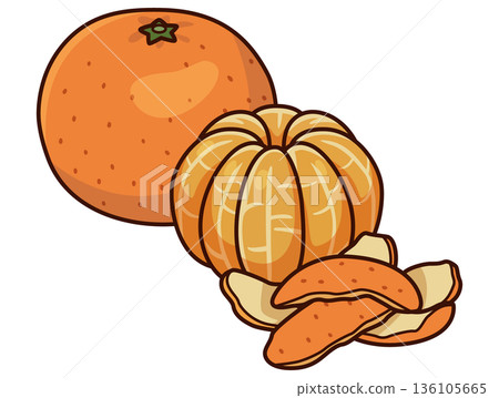 剝橘子的插圖 136105665