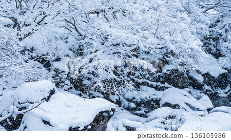 巽川峽谷（冬季） 136105986