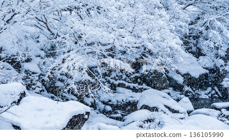 Samigawa Gorge (winter) Samigawa Gorge (winter) 136105990