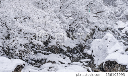 巽川峽谷（冬季） 136105993