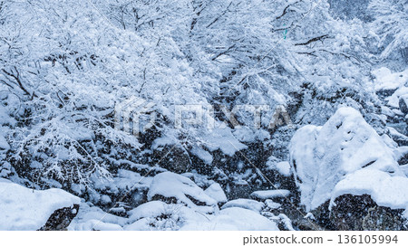 Samigawa Gorge (winter) Samigawa Gorge (winter) 136105994