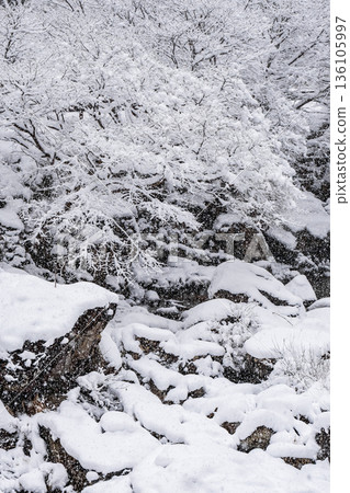 Samigawa Gorge (winter) Samigawa Gorge (winter) 136105997