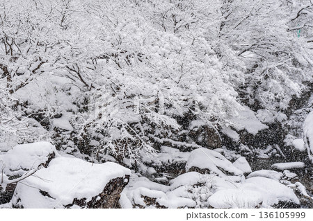 巽川峽谷（冬季） 136105999