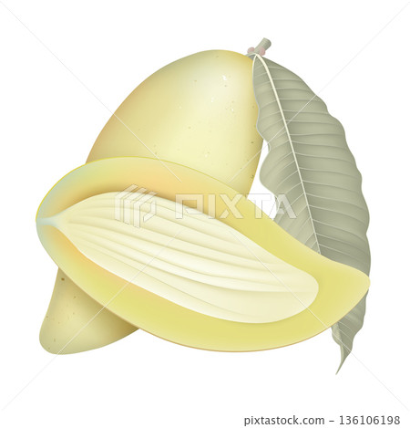 Fresh ripe Barracuda mango and a cross section with leave on white Fresh ripe Barracuda mango and a cross section with leave on white 136106198