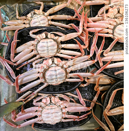Coconut crab 136106273