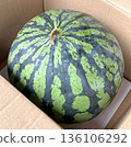 Ootama watermark 136106292