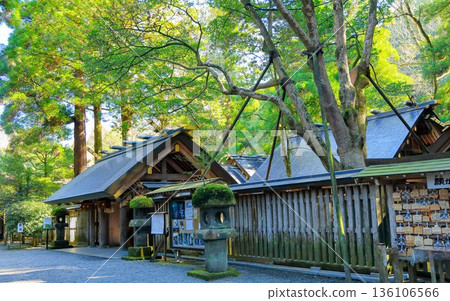 Takachiho Town, Miyazaki Prefecture - Ama-no-Iwato Shrine West Main Shrine Takachiho Town, Miyazaki Prefecture - Ama-no-Iwato Shrine West Main Shrine 136106566
