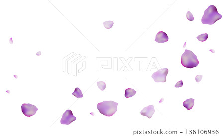 紫色花瓣在空中飄舞的插圖（16:9） 136106936