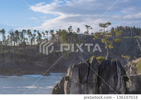 The cliffs and pine forests of Ogama and Hanzo glowing in the morning sun | Kesennuma City, Miyagi Prefecture 136107018