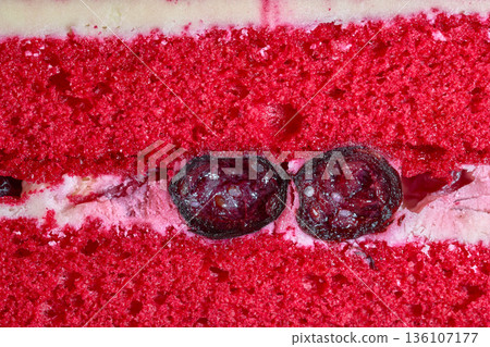 Macro view of a moist red velvet layer cake with cream frosting and dark cherry filling 136107177