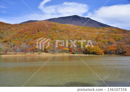 古池和黑姬山 古池和黑姬山 136107356