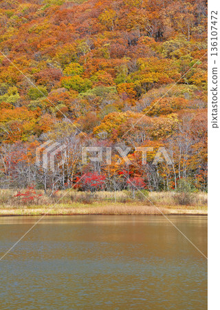 old pond old pond 136107472