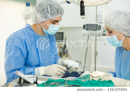 Young veterinarian with female assistant conducting surgical operation at veterinary clinic Young veterinarian with female assistant conducting surgical operation at veterinary clinic 136107804