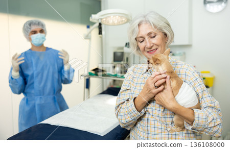 Senor woman owner holds and cuddles chihuahua pet after manipulations in veterinary clinic 136108000