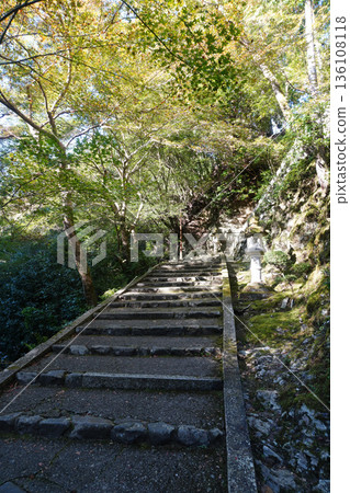 Autumn scenery of the approach to Makio Saimyoji Temple in Kyoto Autumn scenery of the approach to Makio Saimyoji Temple in Kyoto 136108118