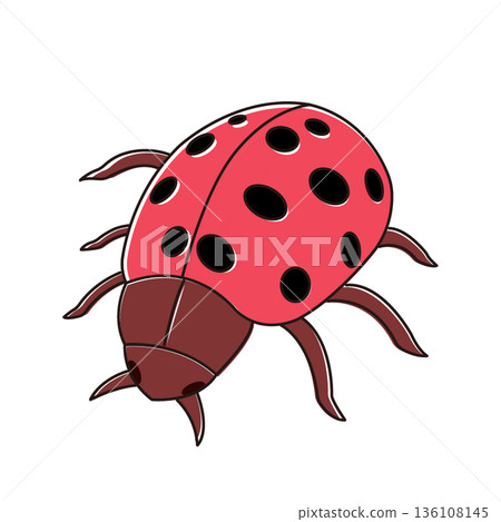 Cute ladybug illustration 136108145