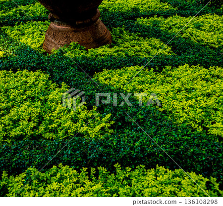 Luxury landscape design of the tropical garden.  136108298