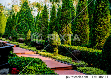 Luxury landscape design of the tropical garden. Luxury landscape design of the tropical garden. 136108311
