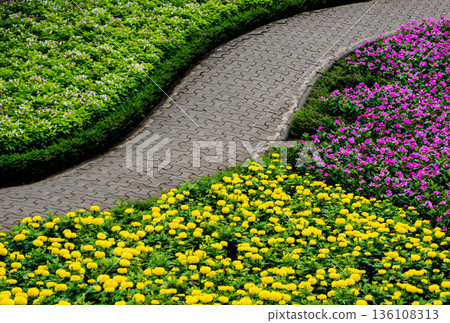 Luxury landscape design of the tropical garden.  136108313