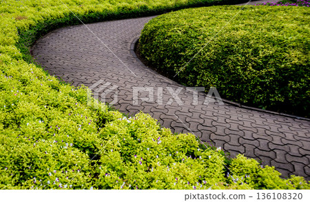 Luxury landscape design of the tropical garden. Luxury landscape design of the tropical garden. 136108320