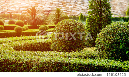 Luxury landscape design of the tropical garden. Luxury landscape design of the tropical garden. 136108323