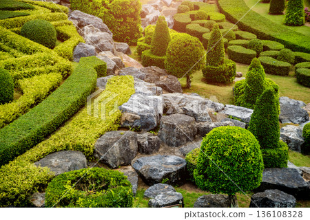 Luxury landscape design of the tropical garden.  136108328